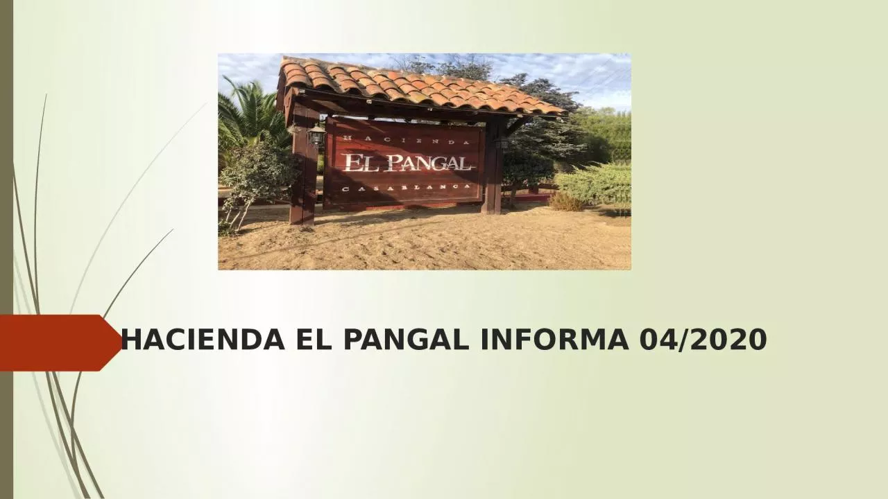 PPT-HACIENDA EL PANGAL INFORMA 04/2020