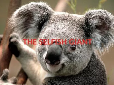 THE SELFISH GIANT Comprehension