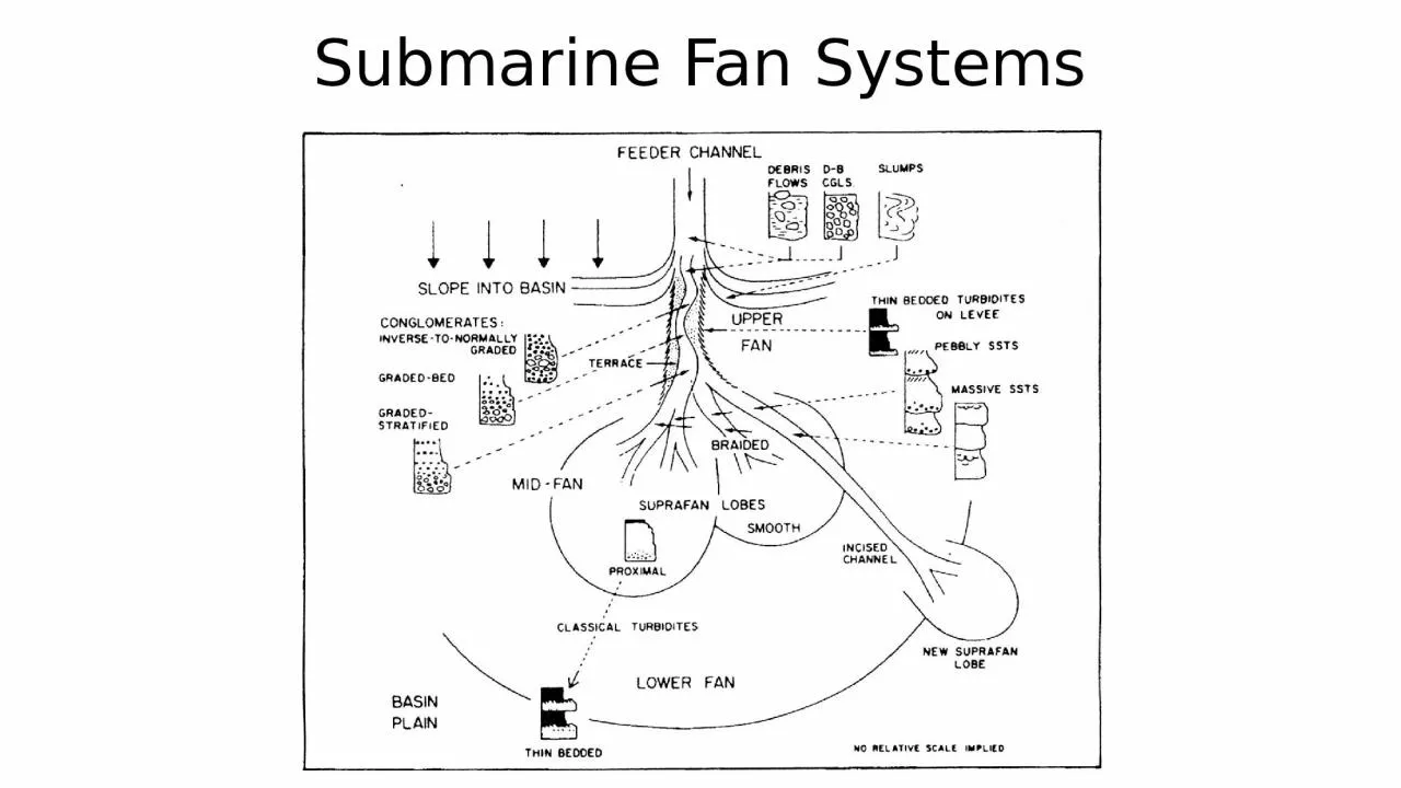 Submarine Fan Systems Fining and thinning-upward