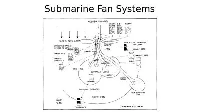 Submarine Fan Systems Fining and thinning-upward