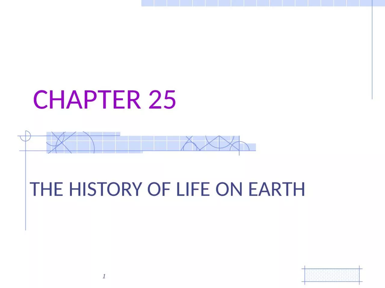 PPT-CHAPTER 25 THE HISTORY OF LIFE ON EARTH