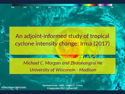 An  adjoint-informed  study of tropical