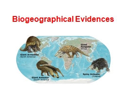 Biogeographical Evidences