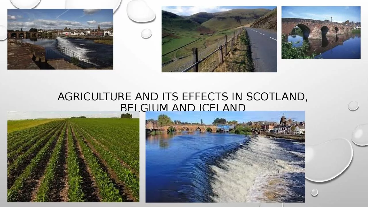 PPT-Agriculture and its effects in Scotland, Belgium and Iceland