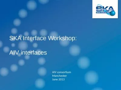 SKA Interface Workshop: AIV interfaces