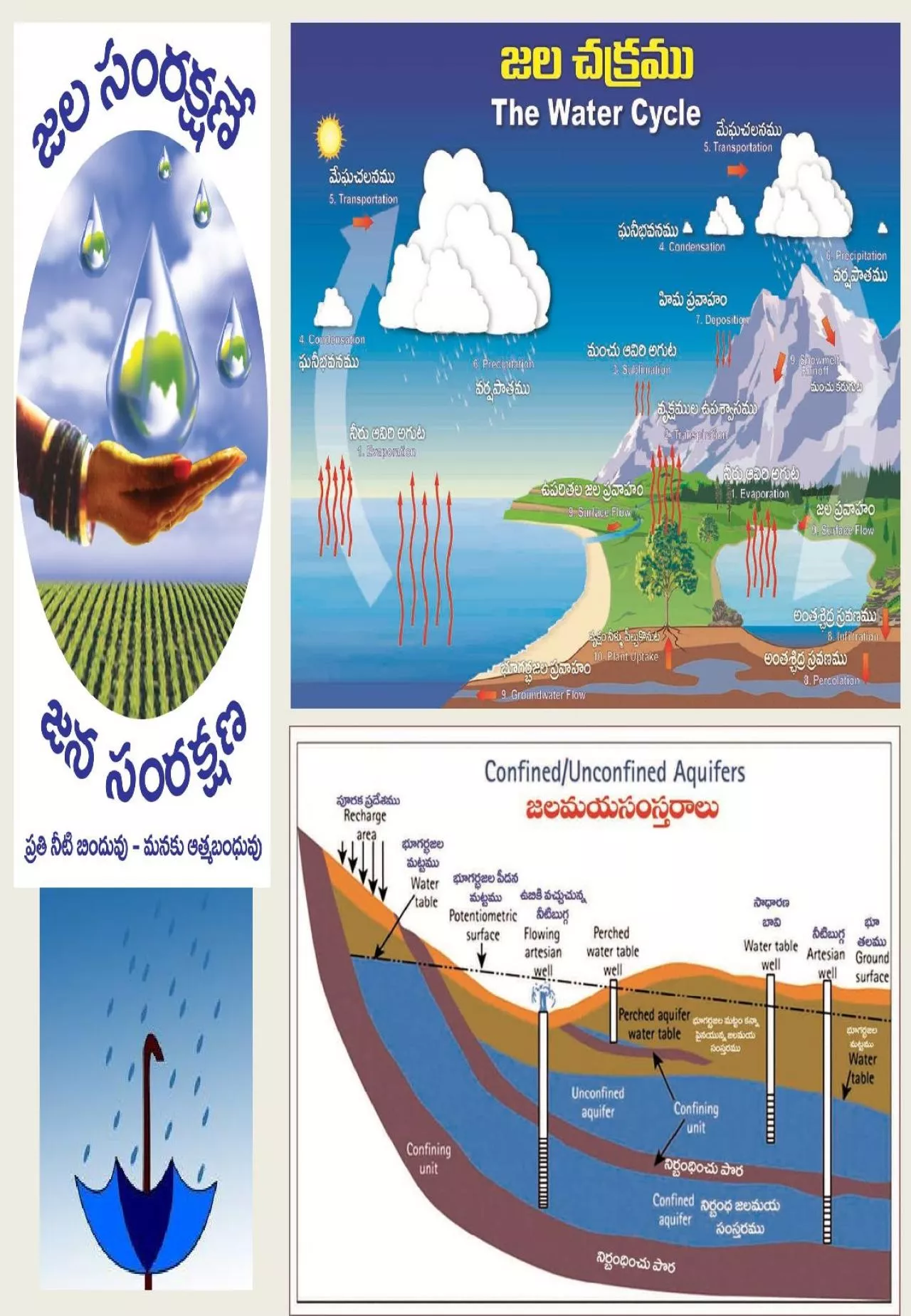 PPT-NAADU Shallow water table