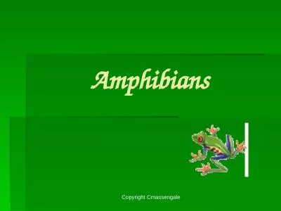 Amphibians Copyright Cmassengale