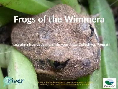 Frogs of the Wimmera  Integrating frog education into your River Detectives Program