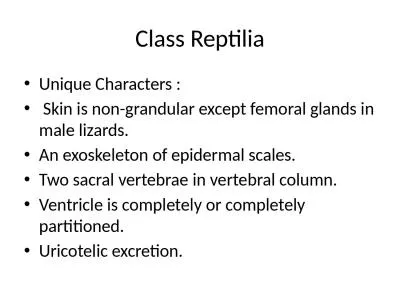 Class  Reptilia Unique Characters :