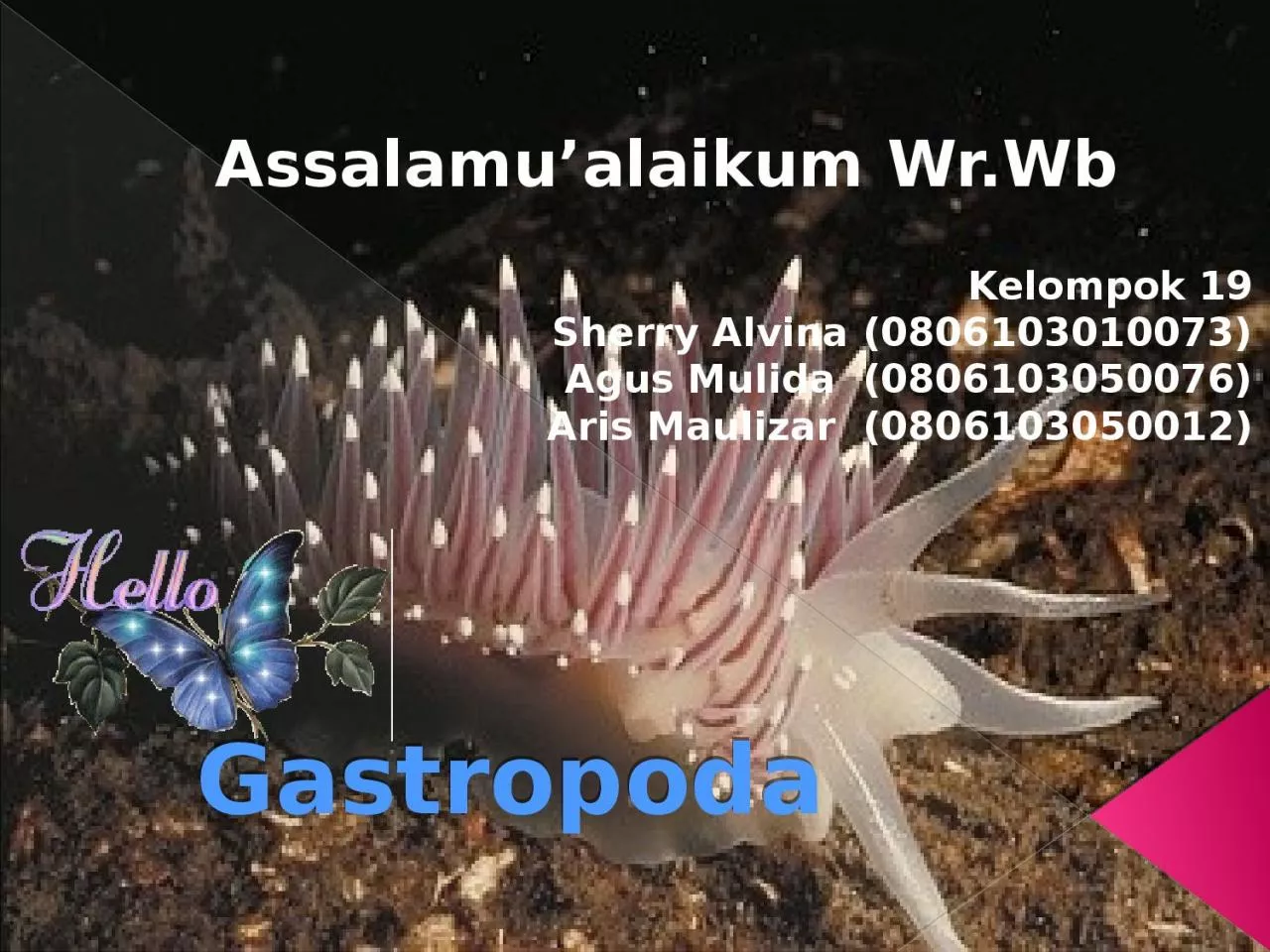 PPT-Gastropoda Kelompok 19 Sherry