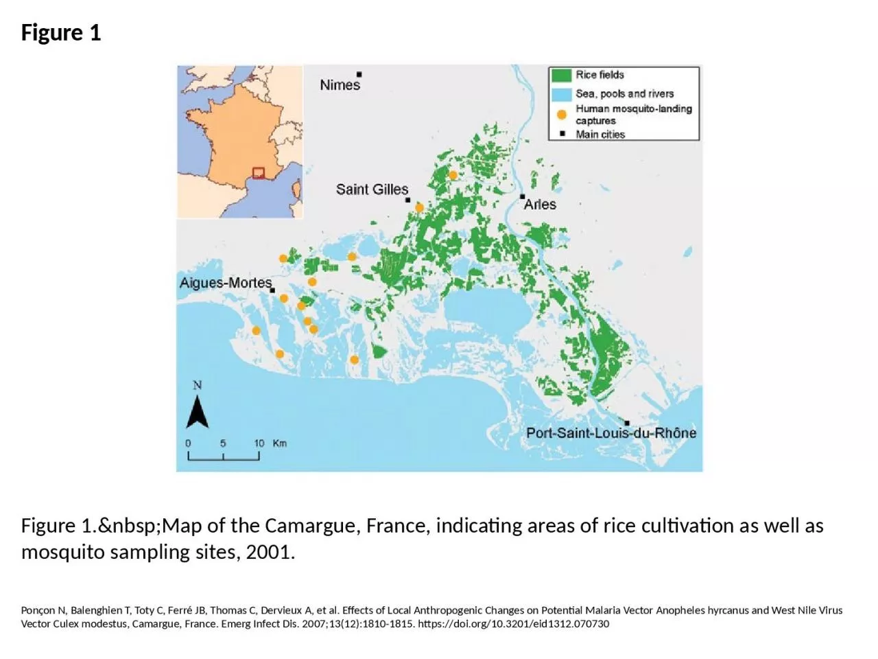 PPT-Figure 1 Figure 1.&nbsp;Map of the Camargue, France, indicating areas of rice cultivation