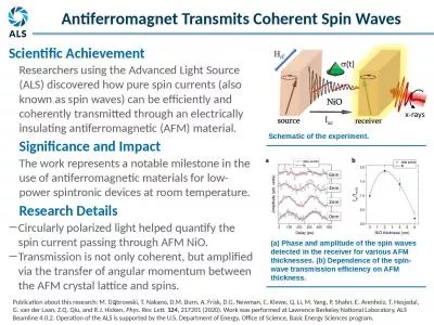 (a) Phase and amplitude of the spin waves detected in the receiver for various AFM thicknesses.