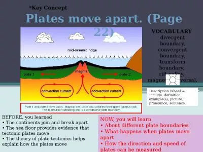 Plates move apart. (Page 22)