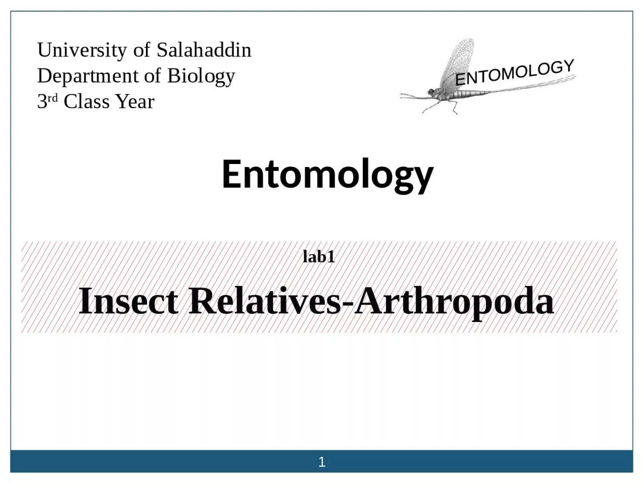 PPT-University of Salahaddin