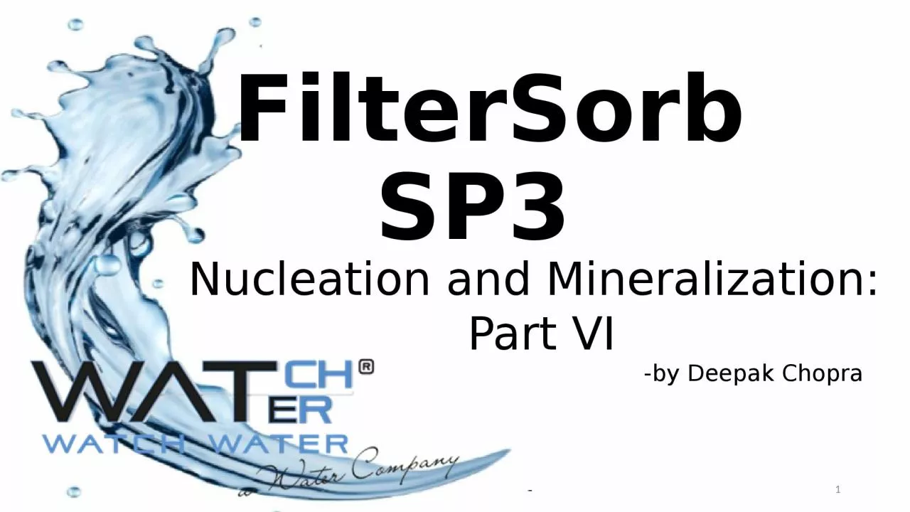 PPT-1 FilterSorb SP3 Nucleation and Mineralization: