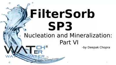 1 FilterSorb SP3  Nucleation and Mineralization: