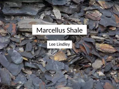 Marcellus Shale Lee Lindley