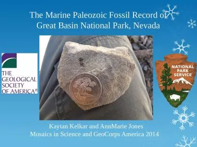 The Marine Paleozoic Fossil Record of Great Basin National Park, Nevada