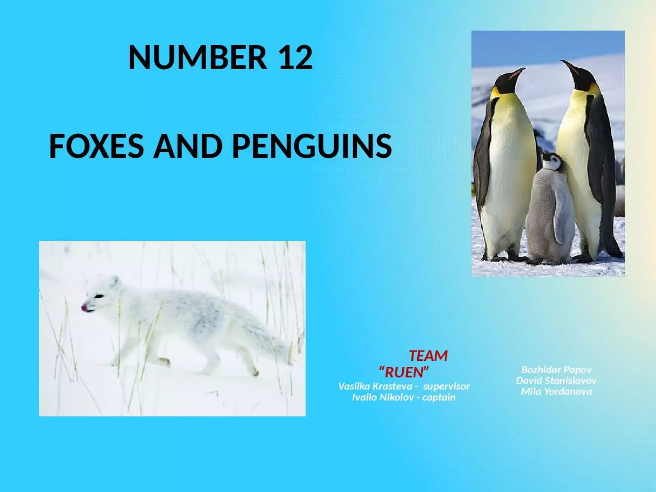 PPT-NUMBER 12 FOXES AND PENGUINS