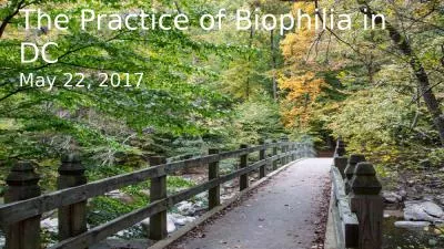 Welcome to The Practice of Biophilia in DC