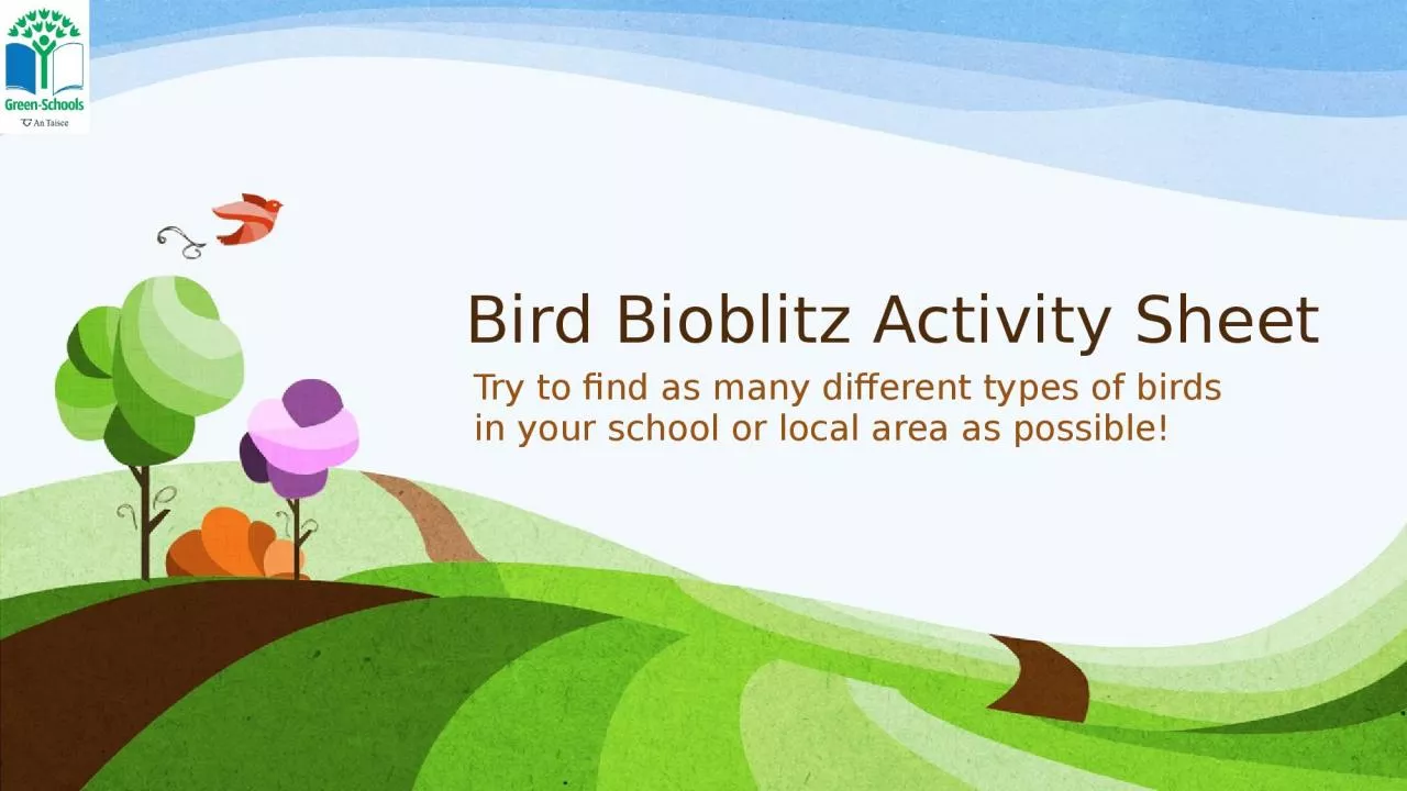 Bird  Bioblitz  Activity Sheet