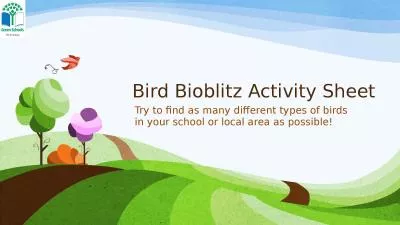 Bird  Bioblitz  Activity Sheet