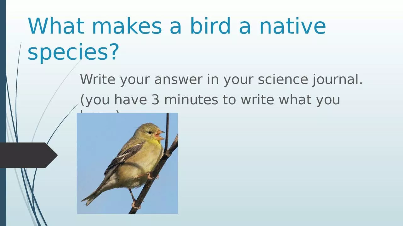What makes a bird a native species?