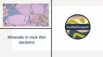 Minerals in rock thin sections