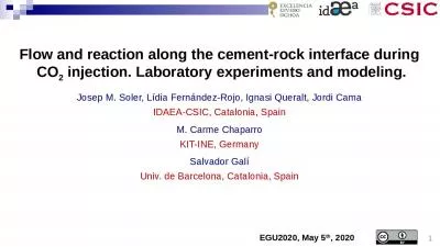 Flow and reaction along the cement-rock interface during