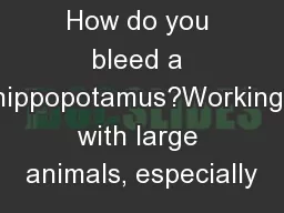 How do you bleed a hippopotamus?Working with large animals, especially
