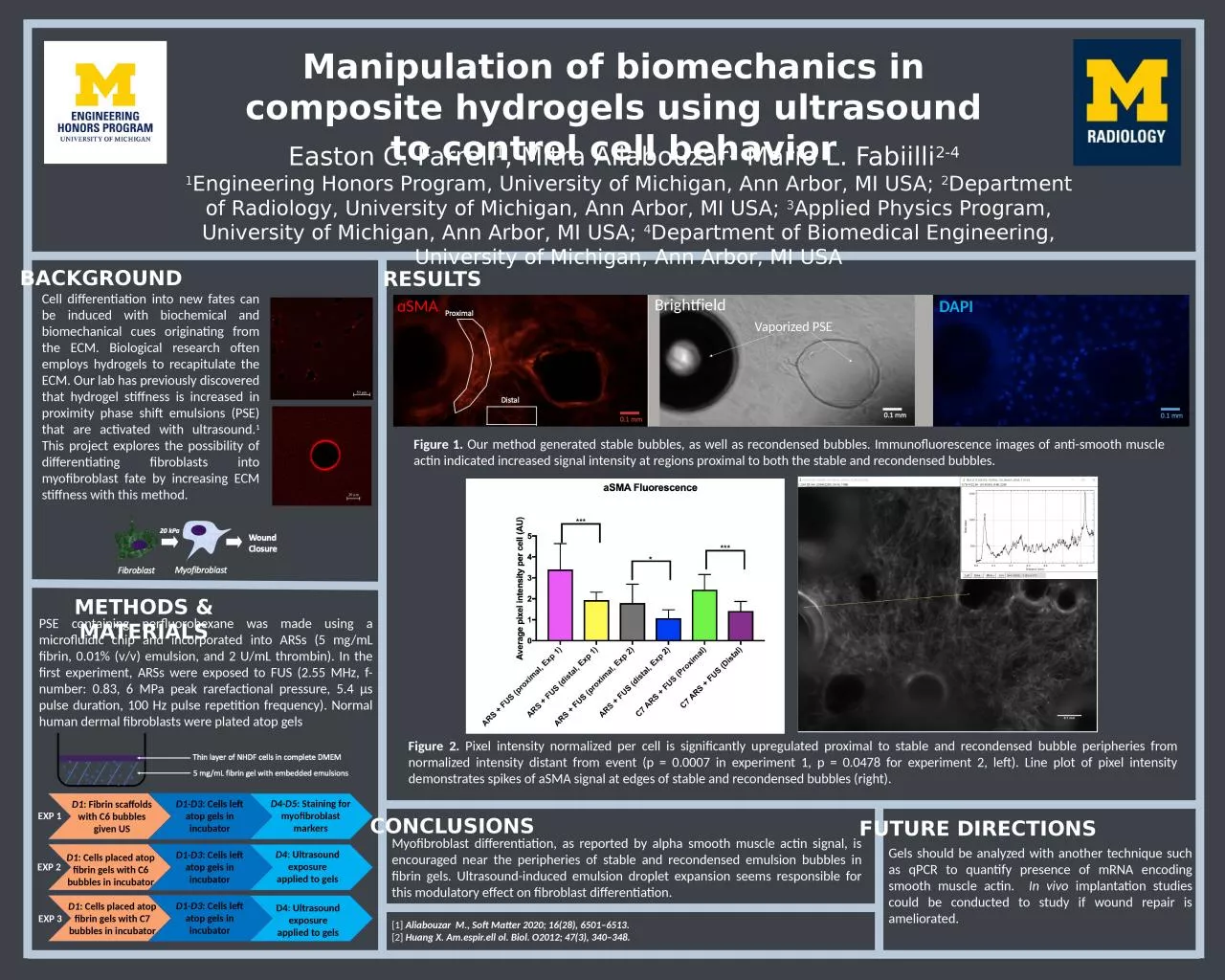 PPT-Manipulation of biomechanics in composite hydrogels using ultrasound to control cell behavior