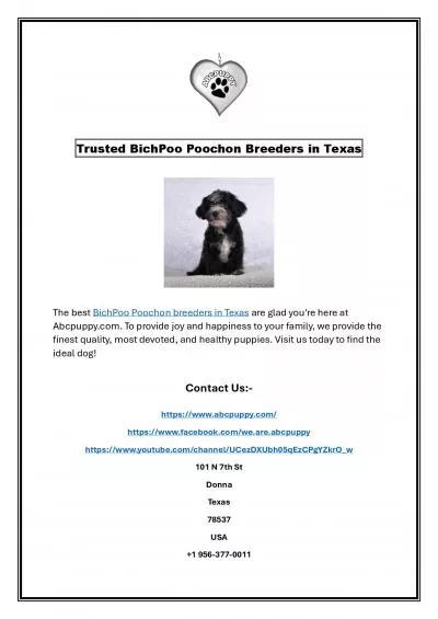 Trusted BichPoo Poochon Breeders in Texas