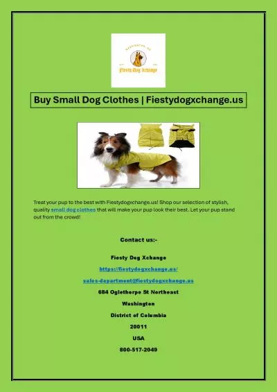 Buy Small Dog Clothes | Fiestydogxchange.us