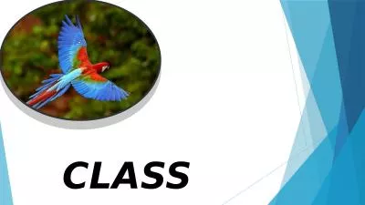 CLASS AVES CLASSIFICATION