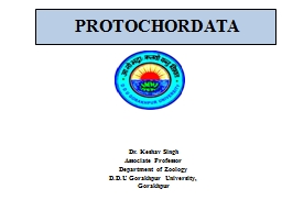 PROTOCHORDATA Dr.  Keshav