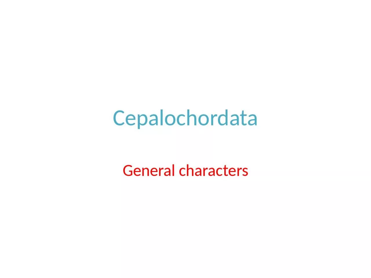 PPT-Cepalochordata General characters