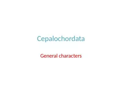 Cepalochordata General characters