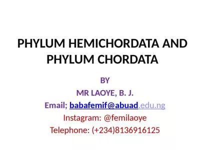 PHYLUM HEMICHORDATA AND PHYLUM CHORDATA