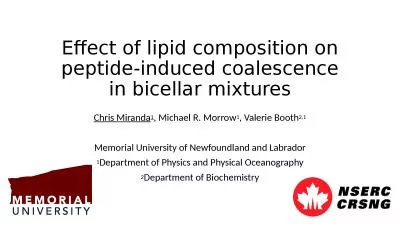 Effect of lipid composition on peptide-induced coalescence in