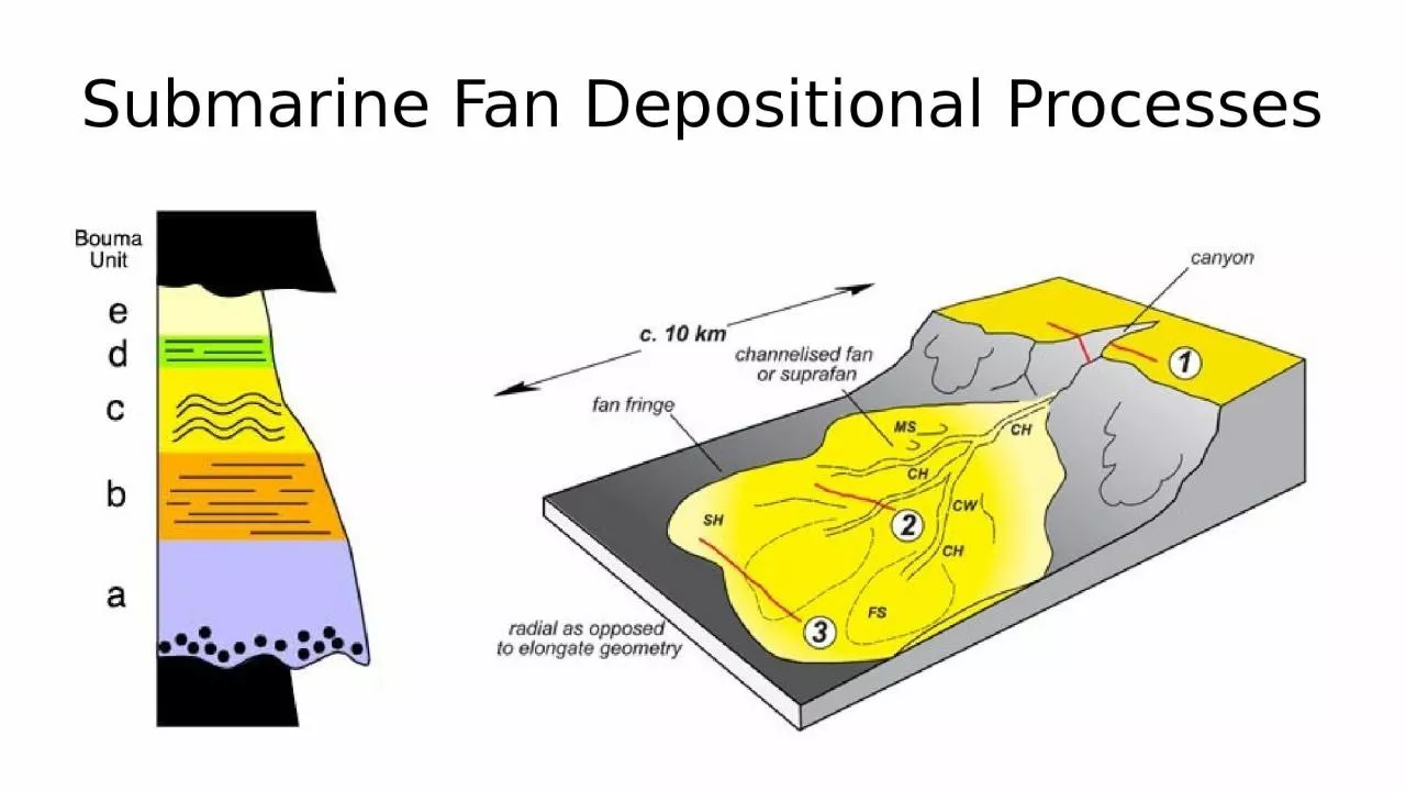 PPT-Submarine Fan Depositional Processes