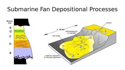 Submarine Fan  Depositional Processes