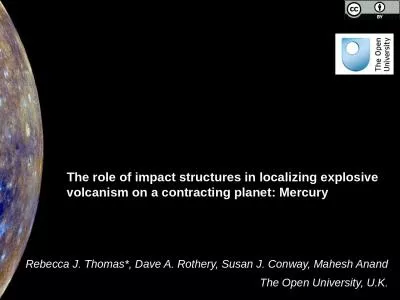 The role of impact structures in localizing explosive volcanism on a contracting planet: