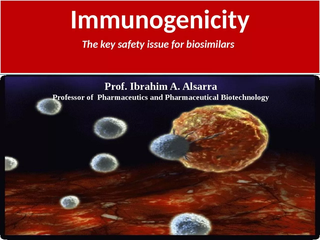 PPT-1 Immunogenicity The key safety issue for biosimilars