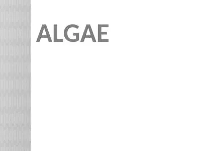 ALGAE   According to five king dome