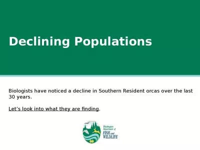 Declining Populations Biologists have noticed a decline in Southern Resident orcas over the last 30