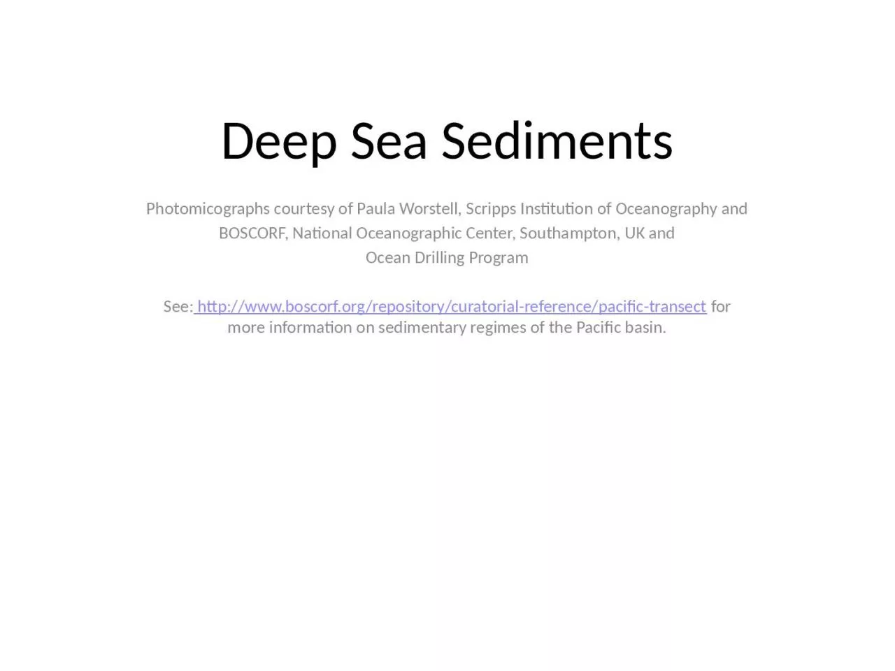 PPT-Deep Sea Sediments Photomicographs