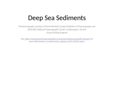 Deep Sea Sediments Photomicographs