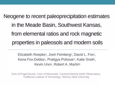 Neogene to recent paleoprecipitation estimates