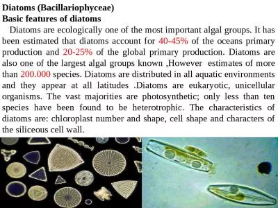 Diatoms ( Bacillariophyceae