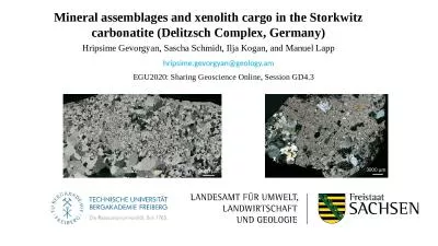 Mineral assemblages and xenolith cargo in the